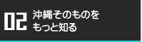 沖縄をもっと知る