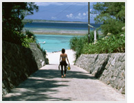 沖縄の海とサーファー